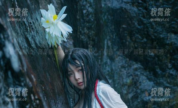 吊带袜1.0，阿寨寨ninja又创造了什么“精选”噩梦？能狂欢围观吗？